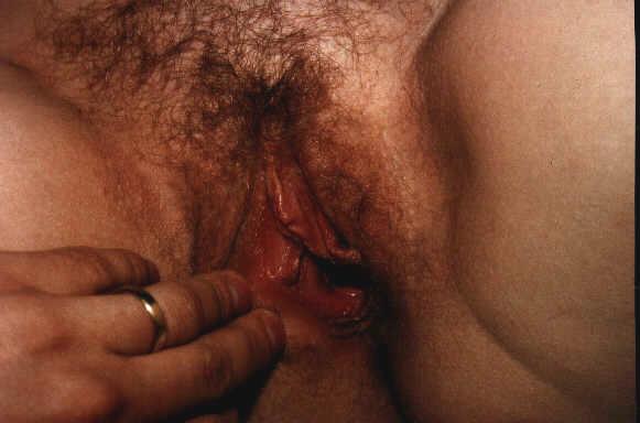 joeksch