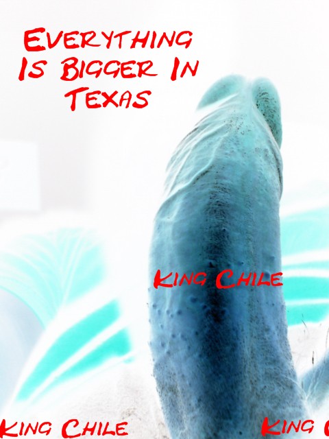 king chile
